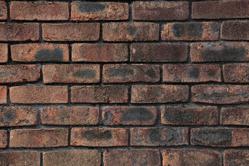 赤れんがの壁