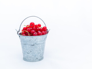 A metal basin filled with red currants