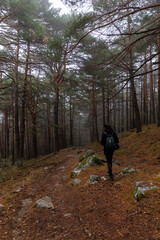 Fototapeta premium Excursión en el bosque en otoño