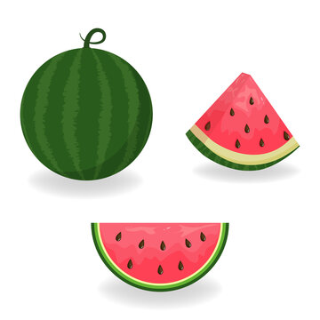 Watermelon and watermelon slices symbols. Vegetarian food. Vector drawing.