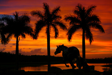 Mustang Sunset