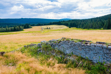 Hala Izerska with the remains of stone foundations in the foreground - Izerskie Mountains - Poland