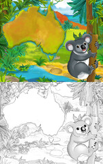 Cartoon scene with sketch koala bear with continent map - illustration