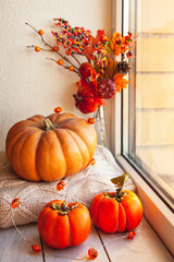 Cozy autumn still life on the windowsill: pumpkin, warm wool sweaters, maple leaves and persimmon