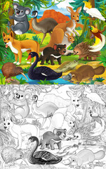cartoon sketch scene with different australian animals like in zoo - illustration