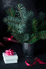 gift box near the Christmas tree in a metal bucket on a dark background