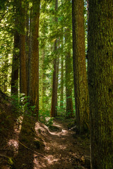 Proxy Falls Trail, Oregon, USA