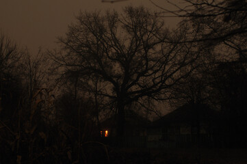 Fototapeta premium night in the village