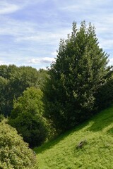 Obraz premium Hollow landscape, Warwick, England