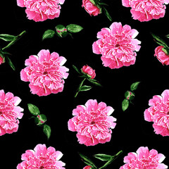 pattern with peonies pink peonies on a black background peonies in watercolor. Bitmap illustration