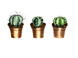 a set of green cacti with thorns in pots. watercolour. Bitmap illustration isolated on a white background