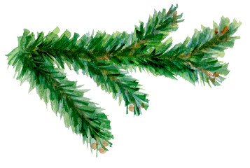 Spruce branch. Christmas tree. Conifer trees. Isolated on white. Abstract hand-drawn watercolor element. Perfect for Happy New Year cards and Merry Christmas