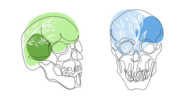 Skulls are drawn with a single line. Print for t-shirts.