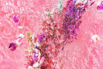 Abstract background of a flower bouquet in water. Pink and purple pastel lupines in splashes. Freshness and nature