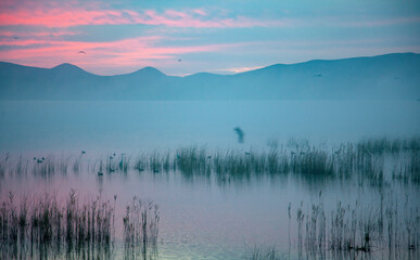 Fototapeta premium sunrise over the lake