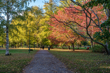 Fototapeta na wymiar Fall in Sweden. A sunny day in October 2020 in city park Folkparken in Norrkoping, Sweden.