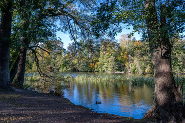 Fall in Sweden. A sunny day in October 2020 in city park Abackarna along Motala river in Norrkoping, Sweden.