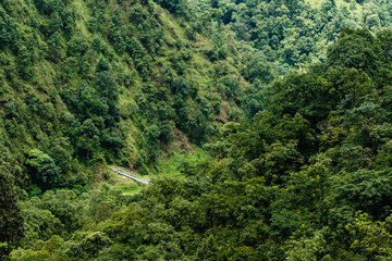 Fototapeta na wymiar Suspension bridge in the jungle, landscape stock photo