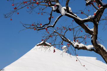 雪の武家屋敷