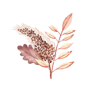 Watercolor hand painted nature autumn plants bouquet with yellow and brown fall leaves and buckwheat cereal grain branch bouquet on the white background for decoration cards