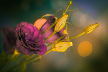 a flowers bouquet in a night romance, orange bokeh behind 
