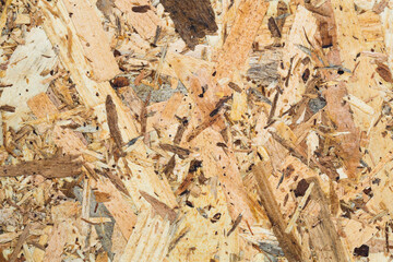 Wooden oriented strand board