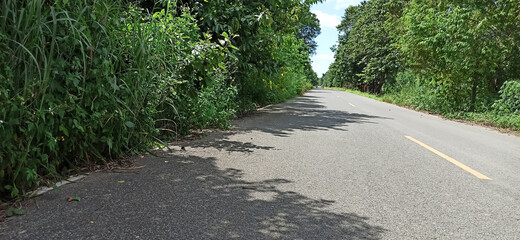 Country road ( Surface )