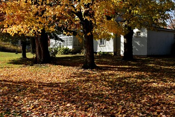 Naklejka premium The accordion museum, Montmagny