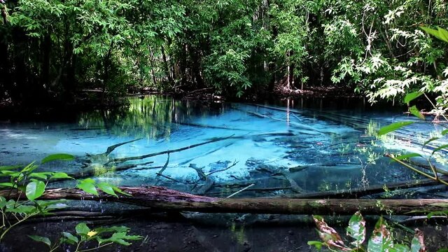 Sra Morakot Blue Pool at Krabi Province, Thailand. Clear emerald pond in tropical forest. The roots of trees with a beautiful lagoon in the rain-forest.