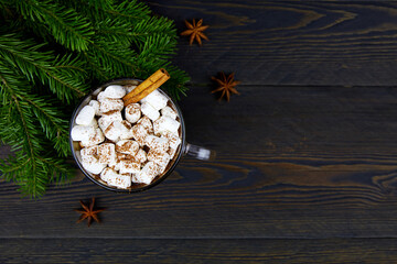 Cup of hot chocolate with marshmallows and cinnamon. Winter Christmas drink made from cocoa.