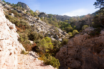 os Ports natura park
