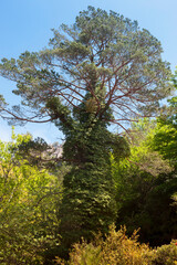 os Ports natura park