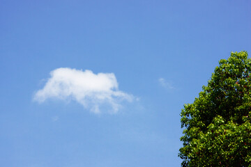 Obraz premium 青空と白い雲