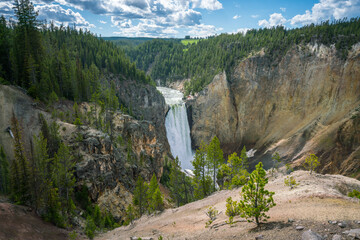lower falls of the yellowstone national park in the grand canyon, wyoming, usa