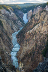 lower falls of the yellowstone national park from artist point at sunset, wyoming, usa