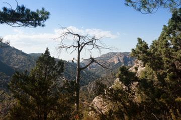 Los Ports natural Park