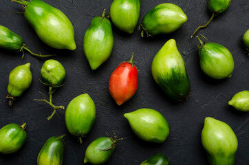 Top view of single red tomato among green oe on the black background.Concept of Black Sheep