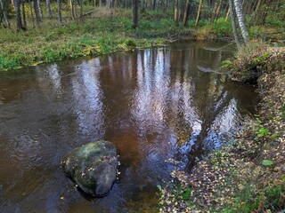 river flow in the wild forest in the autumn season and the reflection of trees in the water