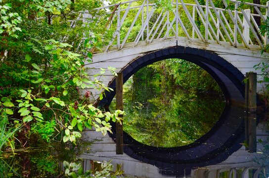 Footbridge In Cypress Gardens In Moncks Corner Near Charleston In South Carolina, USA, Reflections In Water, Swamp Land, Summer