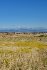 Harvested farm fields under blue sky