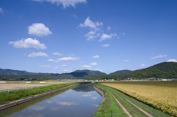 Fototapeta na wymiar 岡山県瀬戸内市長船町福里の農業用水路（その４）