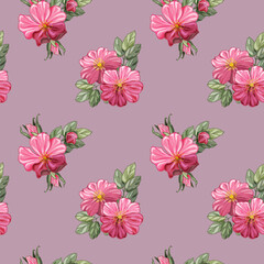 Fototapeta na wymiar Seamless pattern with pink wild roses.