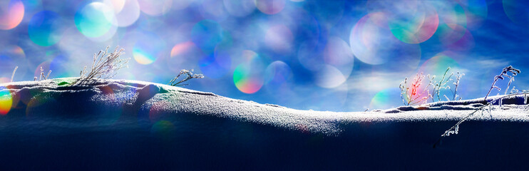 snow covered landscape with frozen plants