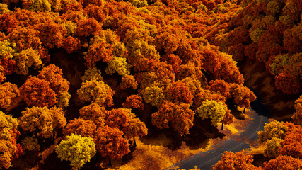 Autumn forest landscape aerial shot. Bright sunlight illuminates trees with the vibrant colours of fall.