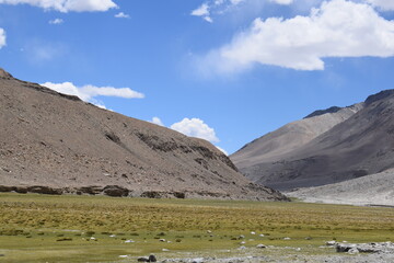 landscape with blue sky and clouds in the way of pangong lake