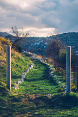 Fototapeta premium landscape with fence