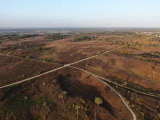 aerial view of heathland at dusk Canford Heath Poole UK