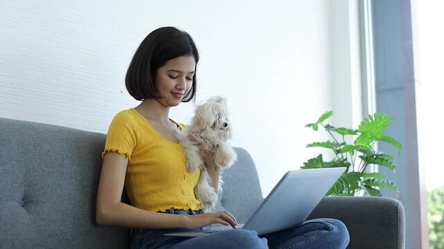 Young Asian woman working with laptop computer With white maltese in the living room

