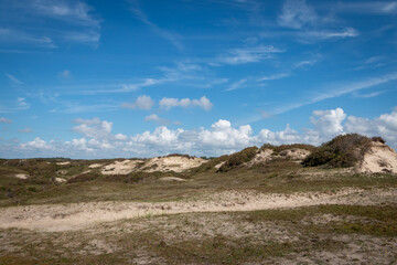 Dunes area called the 'schoorlse duinen' in the dune area of the province of North Holland, the Netherlands