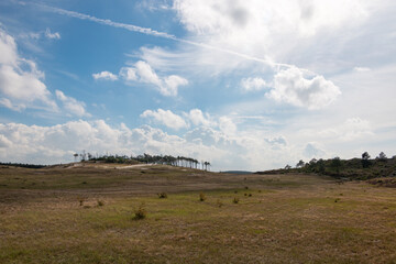 Dunes area called the 'schoorlse duinen' in the dune area of the province of North Holland, the Netherlands